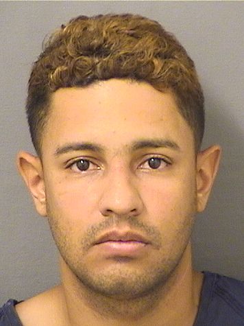  YONAIKER WLADIMIR TORTOLEROGIMENEZ Results from Palm Beach County Florida for  YONAIKER WLADIMIR TORTOLEROGIMENEZ