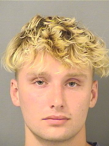  ALEXANDER PAUL SEDLAK Photo For  ALEXANDER PAUL SEDLAK