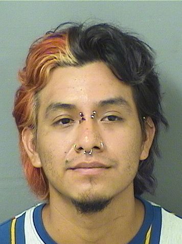 WILFREDO YHOVANY CRUZSOLIS Results from Palm Beach County Florida for WILFREDO YHOVANY CRUZSOLIS WILFREDO YHOVANY CRUZSOLIS Results from Palm Beach County Florida for WILFREDO YHOVANY CRUZSOLIS
