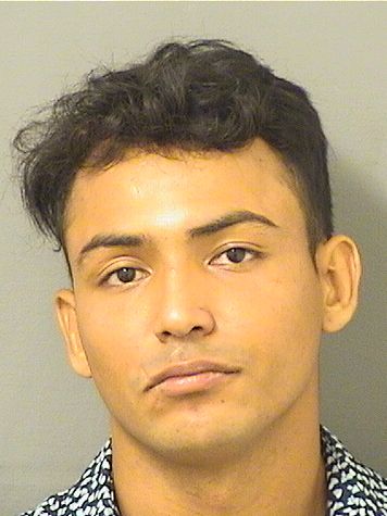  LEORNARDO MARTIN ALEMANFERNANDEZ Resultados de la busqueda para Palm Beach County Florida para  LEORNARDO MARTIN ALEMANFERNANDEZ