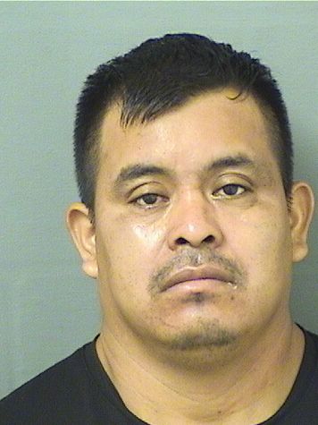  FRANCISCO PASCUAL Results from Palm Beach County Florida for  FRANCISCO PASCUAL