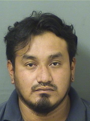  IRVING BAUDILIO JUAREZPABLO Results from Palm Beach County Florida for  IRVING BAUDILIO JUAREZPABLO