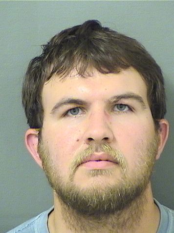  MICHAEL ANTHONY BALDWIN Results from Palm Beach County Florida for  MICHAEL ANTHONY BALDWIN