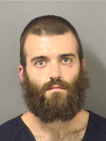  MATTHEW TYLER ALLISON Results from Palm Beach County Florida for  MATTHEW TYLER ALLISON