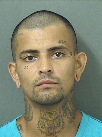  MATEUS SILVADEOLIVEIRA Photo For  MATEUS SILVADEOLIVEIRA