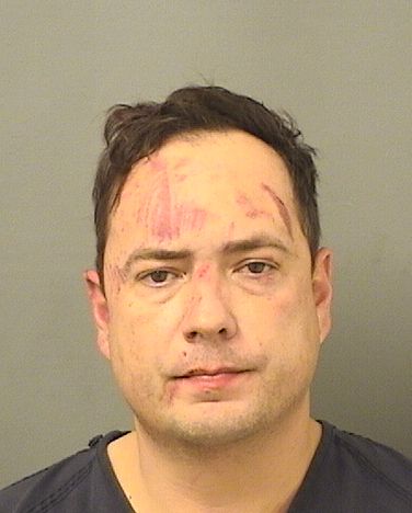  FABIO LLANOSANCHEZ Results from Palm Beach County Florida for  FABIO LLANOSANCHEZ