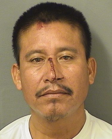  MANOLO PEREZANTON Photo For  MANOLO PEREZANTON