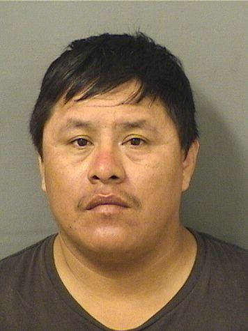  JOSE ALFREDO MARBAN Resultados de la busqueda para Palm Beach County Florida para  JOSE ALFREDO MARBAN