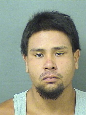  LEIVAN FERNANDO CACERESELVIR Resultados de la busqueda para Palm Beach County Florida para  LEIVAN FERNANDO CACERESELVIR