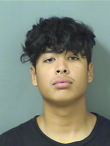  TOMMY RAMIREZHERNANDEZ Resultados de la busqueda para Palm Beach County Florida para  TOMMY RAMIREZHERNANDEZ