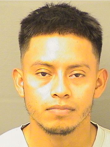  HENRY DAVID LOPEZMENDEZ Results from Palm Beach County Florida for  HENRY DAVID LOPEZMENDEZ