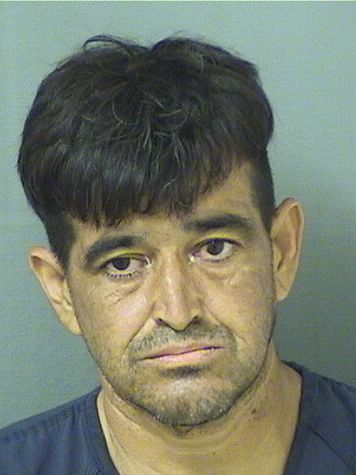 JODANI FAZ Results from Palm Beach County Florida for JODANI FAZ JODANI FAZ Results from Palm Beach County Florida for JODANI FAZ