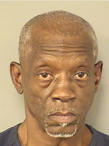  MICHAEL WATTS Results from Palm Beach County Florida for  MICHAEL WATTS