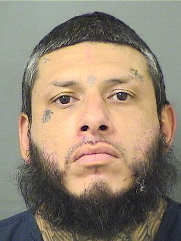 GILBERT GARZA Results from Palm Beach County Florida for GILBERT GARZA GILBERT GARZA Results from Palm Beach County Florida for GILBERT GARZA