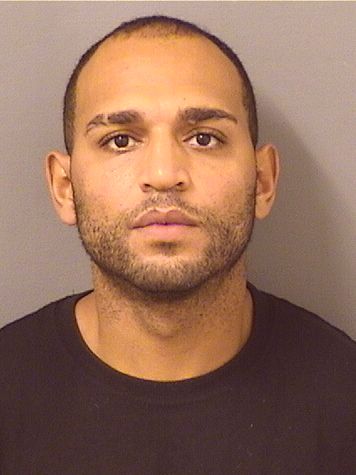  DANIEL LUIS TURNER Results from Palm Beach County Florida for  DANIEL LUIS TURNER