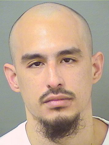  STEVEN LUIS DINETTA Results from Palm Beach County Florida for  STEVEN LUIS DINETTA