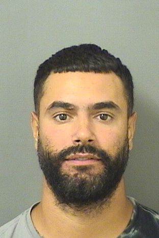  JAMES MICHAEL DIAZ Results from Palm Beach County Florida for  JAMES MICHAEL DIAZ