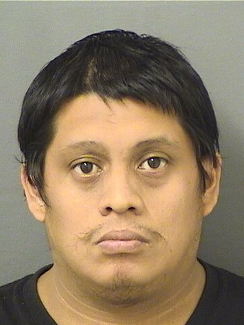  DAVID M FELIPE Photo For  DAVID M FELIPE