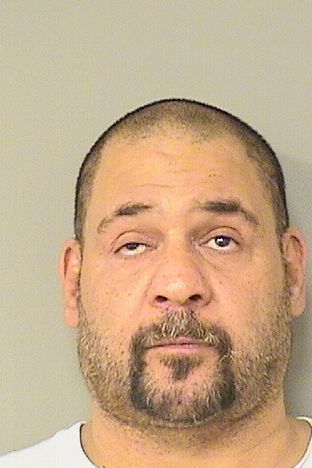  JORGE GERALDO DAVILLA Results from Palm Beach County Florida for  JORGE GERALDO DAVILLA