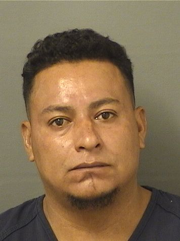  NYMER MATUTE Results from Palm Beach County Florida for  NYMER MATUTE