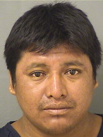 PASCUAL BALTAZARZACARIA Results from Palm Beach County Florida for PASCUAL BALTAZARZACARIA PASCUAL BALTAZARZACARIA Results from Palm Beach County Florida for PASCUAL BALTAZARZACARIA