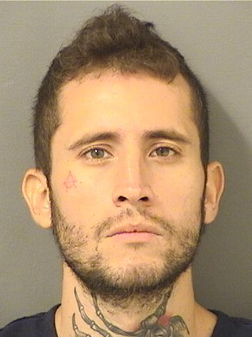  MICHAEL ANTHONY OSPINA Results from Palm Beach County Florida for  MICHAEL ANTHONY OSPINA