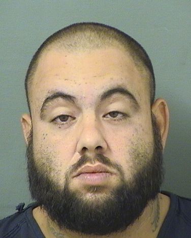  AMADIS HERNANDEZ Results from Palm Beach County Florida for  AMADIS HERNANDEZ