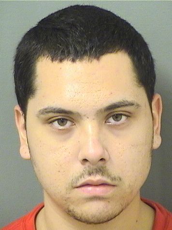  CARLOS MURILLO Results from Palm Beach County Florida for  CARLOS MURILLO