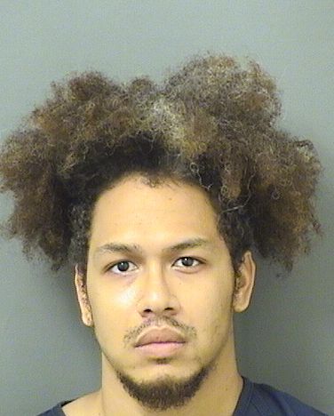  CHRISTOPHER C RUDDER Results from Palm Beach County Florida for  CHRISTOPHER C RUDDER