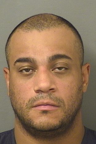  LUIS HERNANDEZ Results from Palm Beach County Florida for  LUIS HERNANDEZ