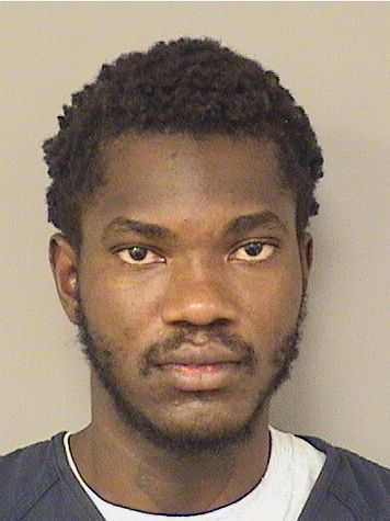  DOMINIQUE AMILCAR Photo For  DOMINIQUE AMILCAR