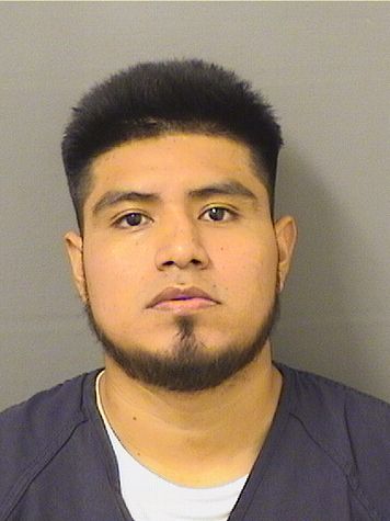  LUIS M GUARCHAJ Photo