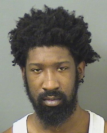  ALFRED NABBIE BURKE Results from Palm Beach County Florida for  ALFRED NABBIE BURKE