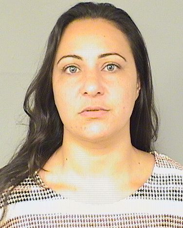  DINA M ARABIAT Results from Palm Beach County Florida for  DINA M ARABIAT