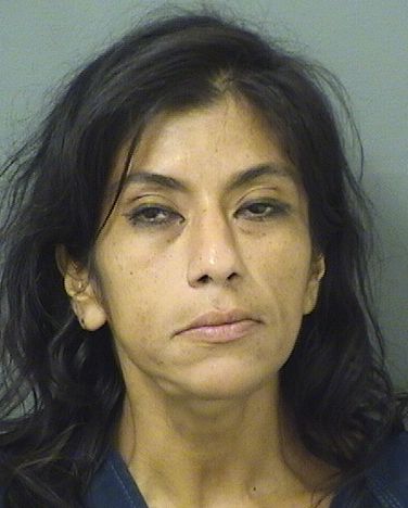  JACQUELINE CRISTINE NEBULONI Results from Palm Beach County Florida for  JACQUELINE CRISTINE NEBULONI