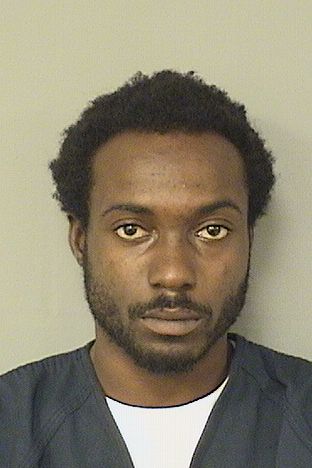  HENRY WILLIAMS Results from Palm Beach County Florida for  HENRY WILLIAMS