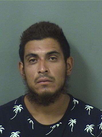  CARLOS FIGUEROA Results from Palm Beach County Florida for  CARLOS FIGUEROA