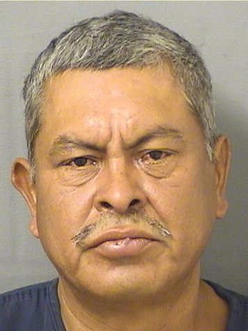  RICARDO DEQUINO Photo For  RICARDO DEQUINO