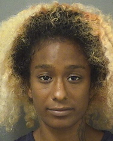  BRITTNEY ELAINE EVANS Results from Palm Beach County Florida for  BRITTNEY ELAINE EVANS