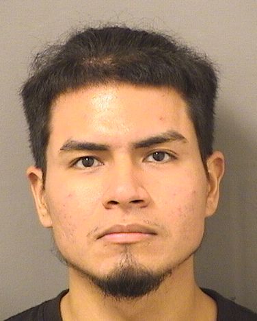  SEBASTIAN M RODRIGUEZ Photo For  SEBASTIAN M RODRIGUEZ