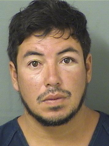  ANTONIO BALMORE MARTINEZ Results from Palm Beach County Florida for  ANTONIO BALMORE MARTINEZ