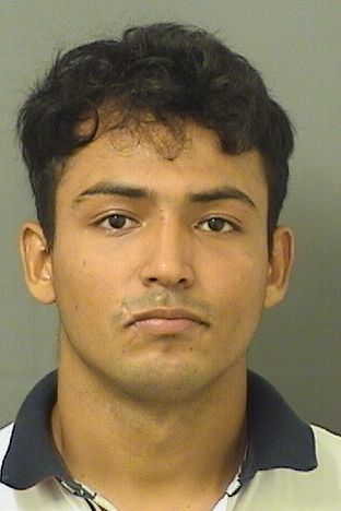  LEONARDO M ALEMANFERNANDEZ Results from Palm Beach County Florida for  LEONARDO M ALEMANFERNANDEZ