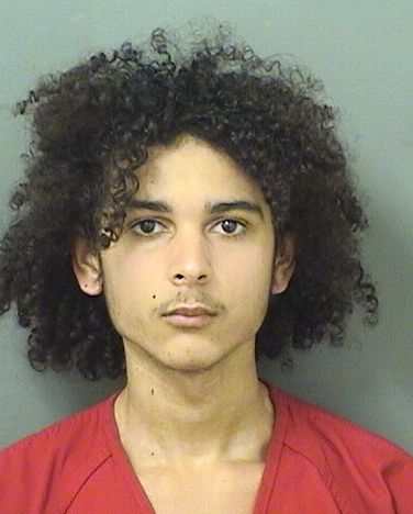 LARRY LAMAR III KOONCE Results from Palm Beach County Florida for LARRY LAMAR III KOONCE LARRY LAMAR III KOONCE Results from Palm Beach County Florida for LARRY LAMAR III KOONCE