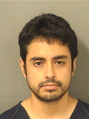  CARLOS A CASTILLO Results from Palm Beach County Florida for  CARLOS A CASTILLO