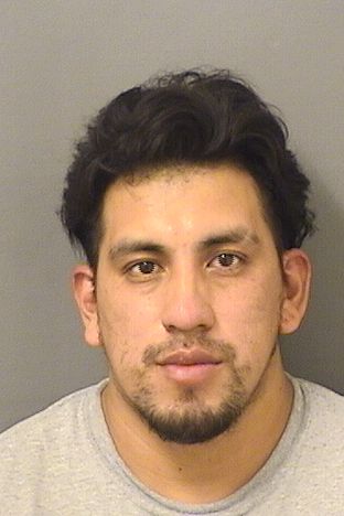  SANTOS ELSO GONZALEZ Results from Palm Beach County Florida for  SANTOS ELSO GONZALEZ