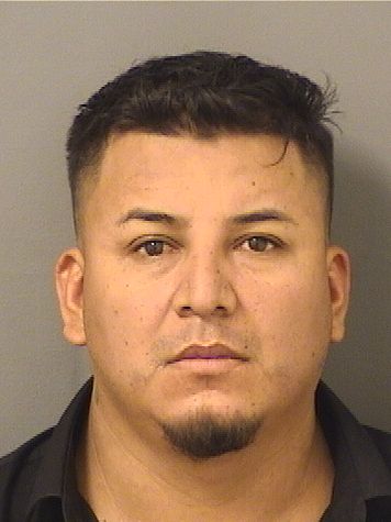  WILLIAM EBARISTO LOPEZMARTINEZ Results from Palm Beach County Florida for  WILLIAM EBARISTO LOPEZMARTINEZ