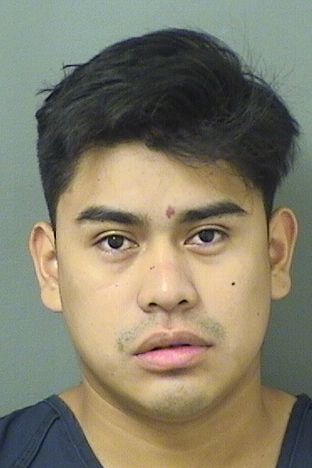 MAUDILIO RUBEN LUCASMENDEZ Results from Palm Beach County Florida for  MAUDILIO RUBEN LUCASMENDEZ