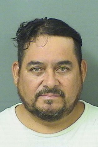  JAMIE RANDOLFO DONISCASTELLANOS Results from Palm Beach County Florida for  JAMIE RANDOLFO DONISCASTELLANOS