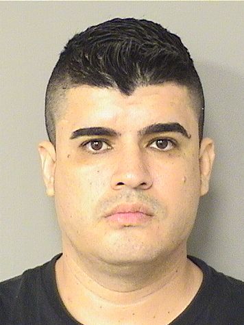  JONNATHAN SERNACOBO Results from Palm Beach County Florida for  JONNATHAN SERNACOBO