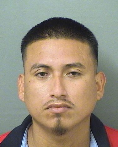  SALVADOR ALEGREHERNANDEZ Photo For  SALVADOR ALEGREHERNANDEZ